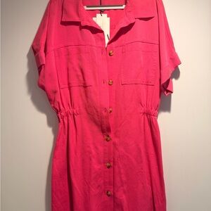 Zara Pink Button-Up Dress